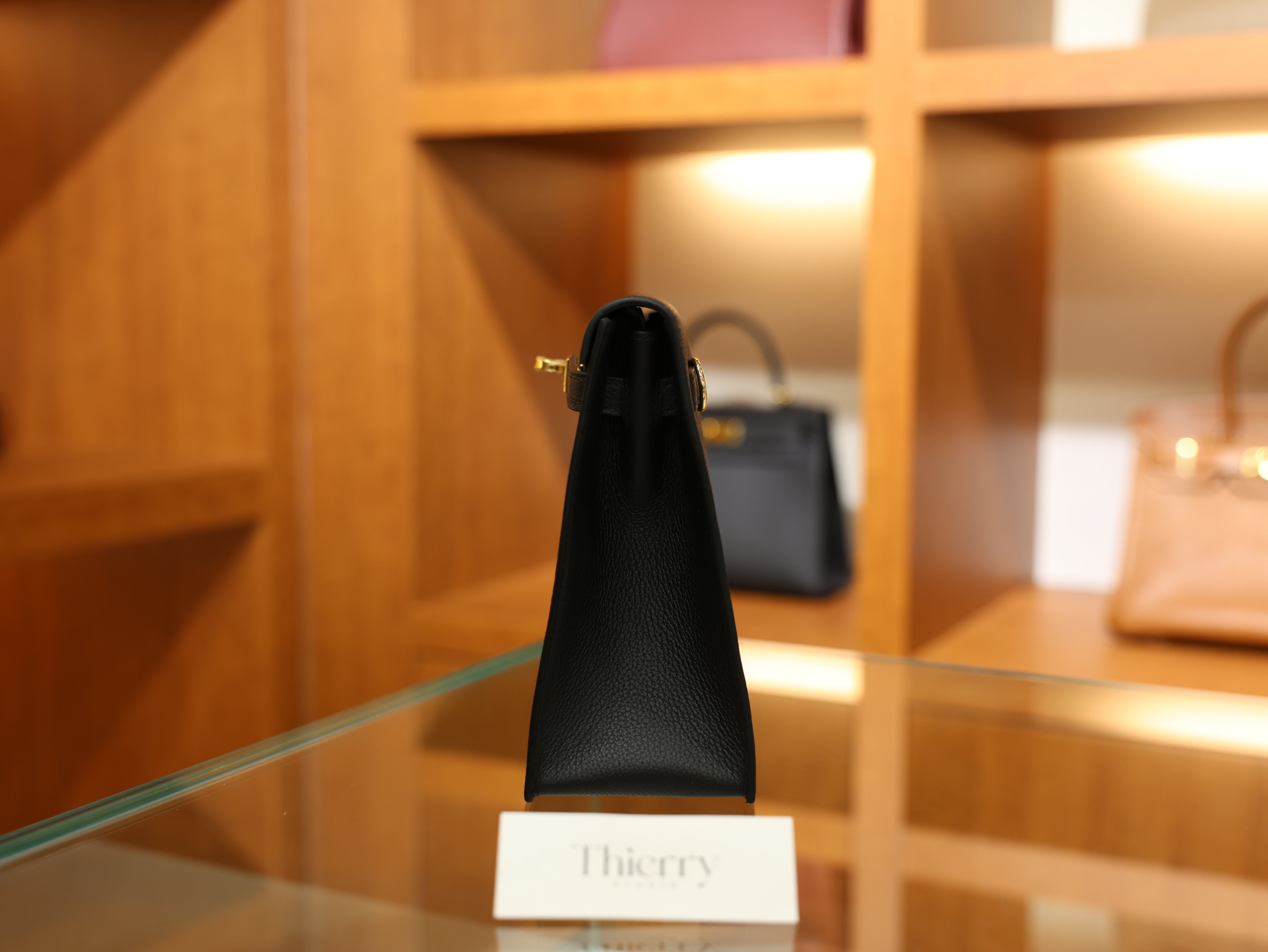 Kelly danse evercolor black GHW