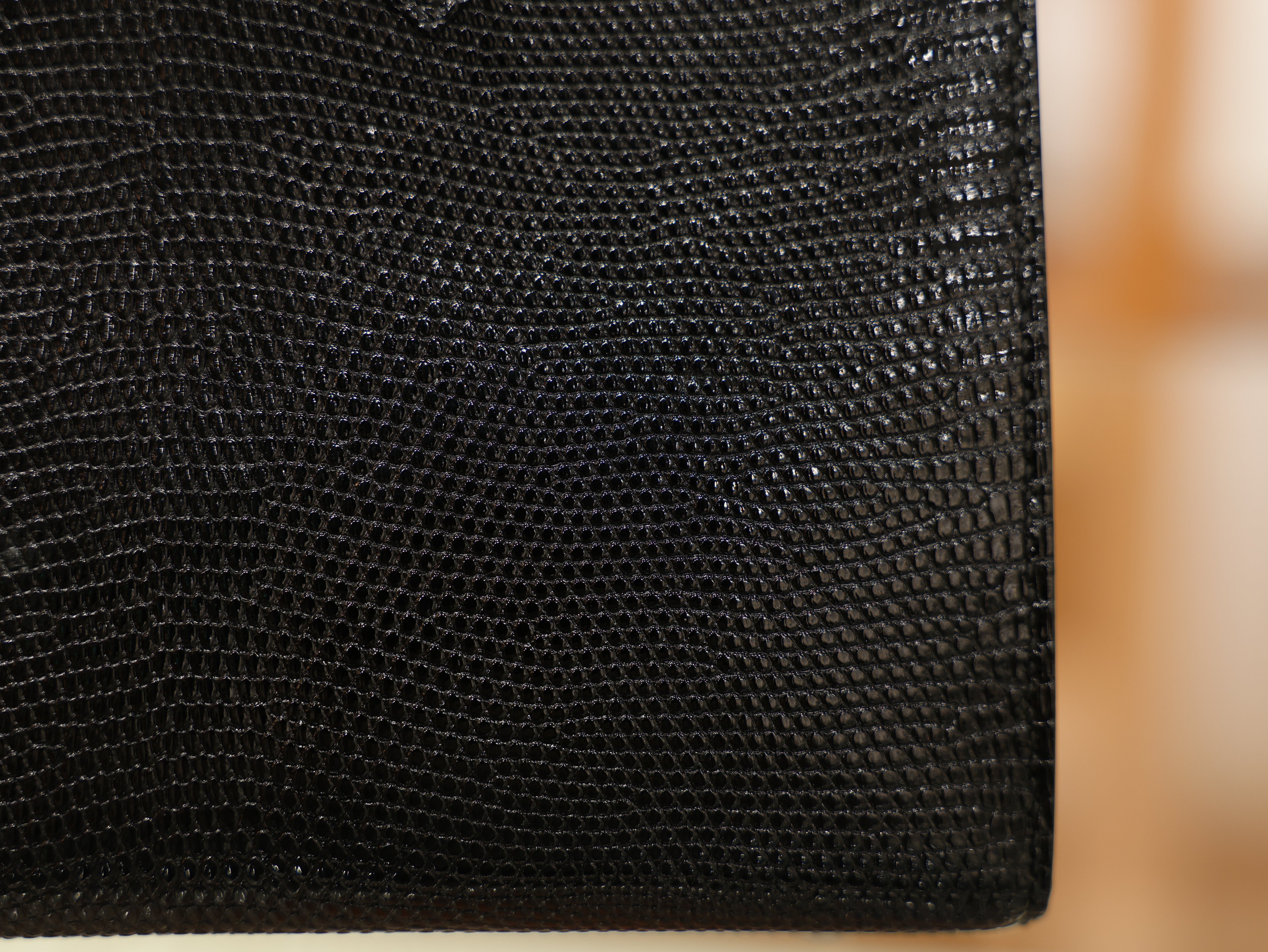 Birkin 20 lizard black PHW