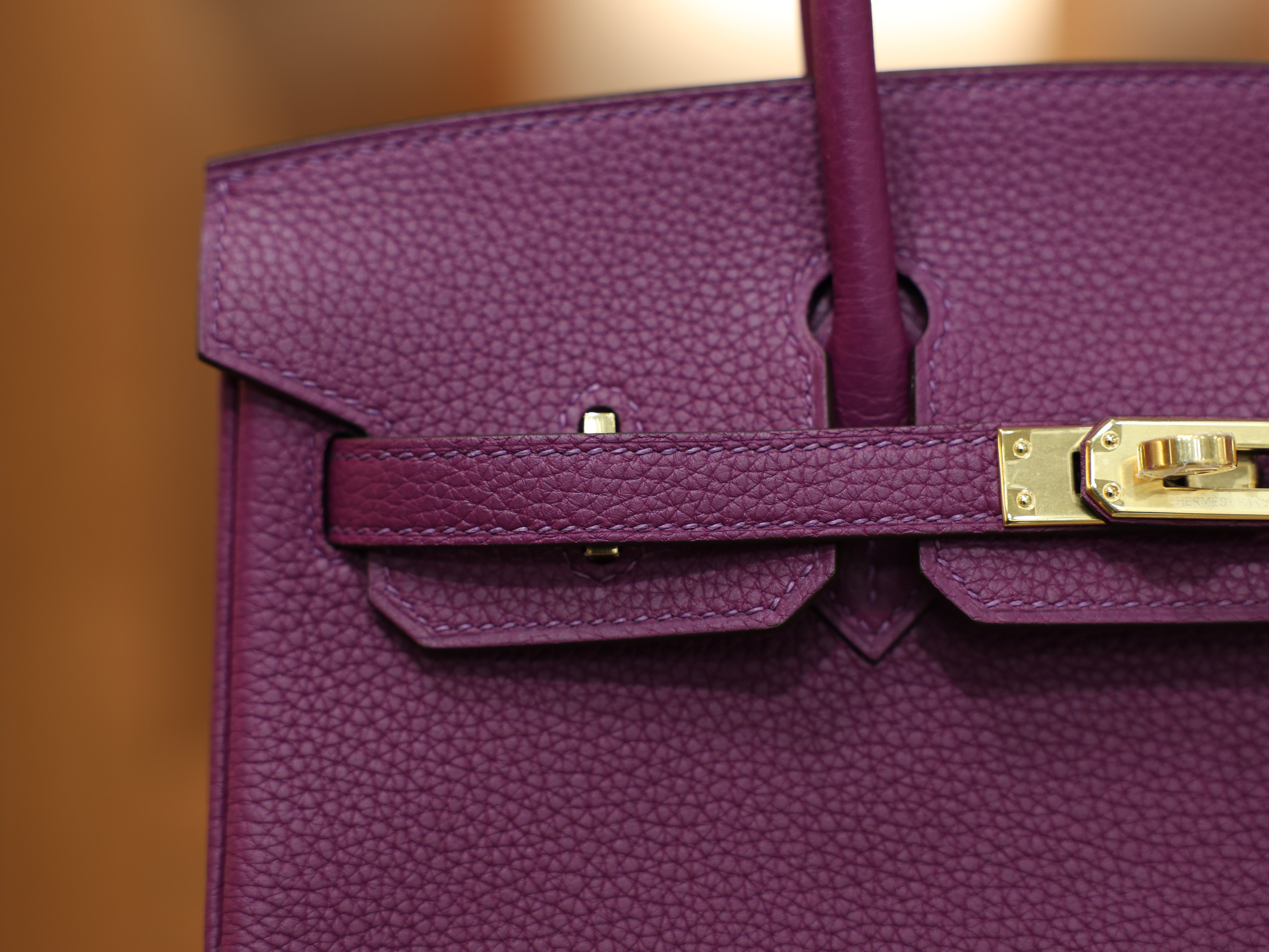 Birkin 25 togo anemone GHW