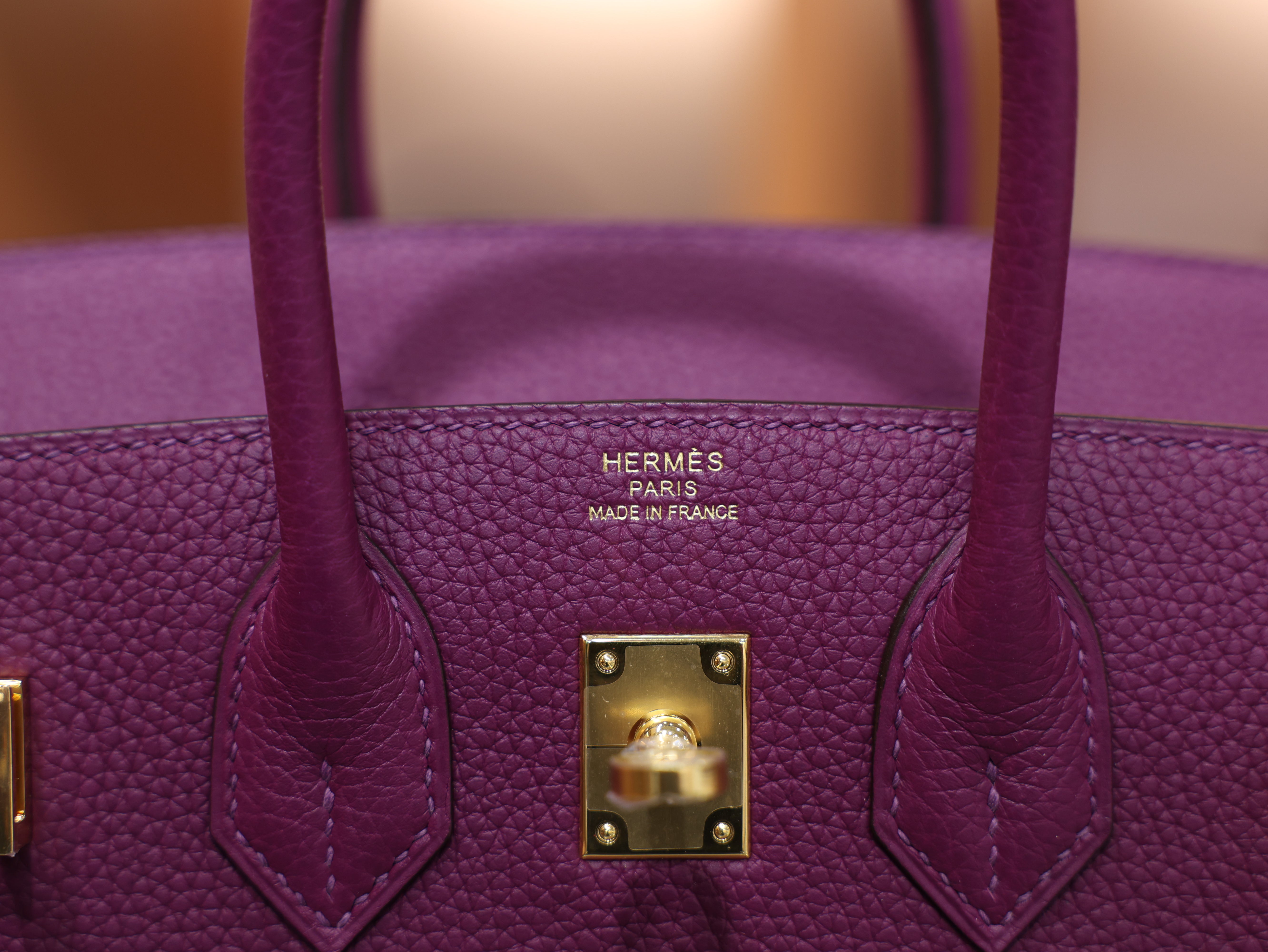 Birkin 25 togo anemone GHW