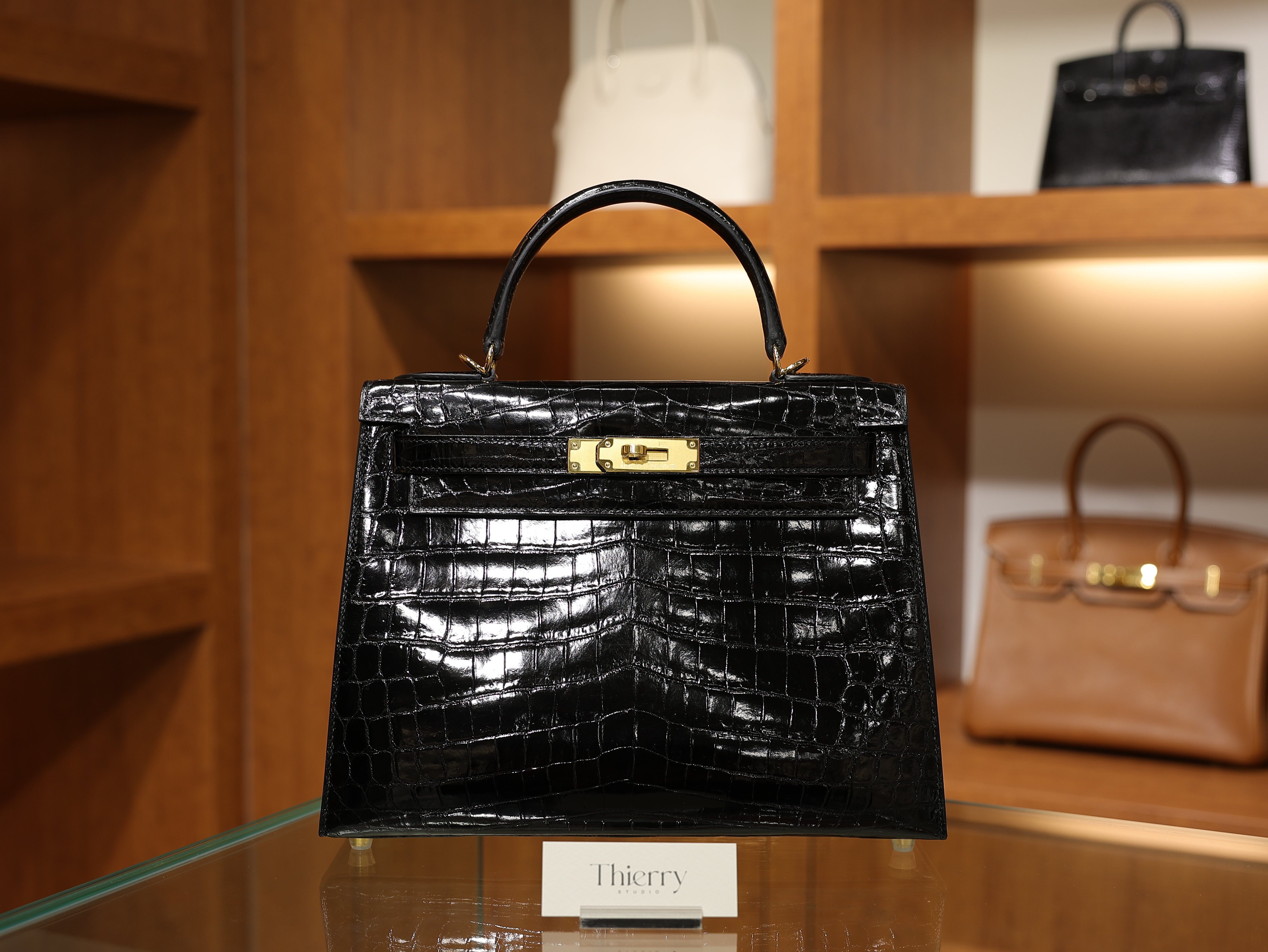 Kelly 28 shiny niloticus black GHW