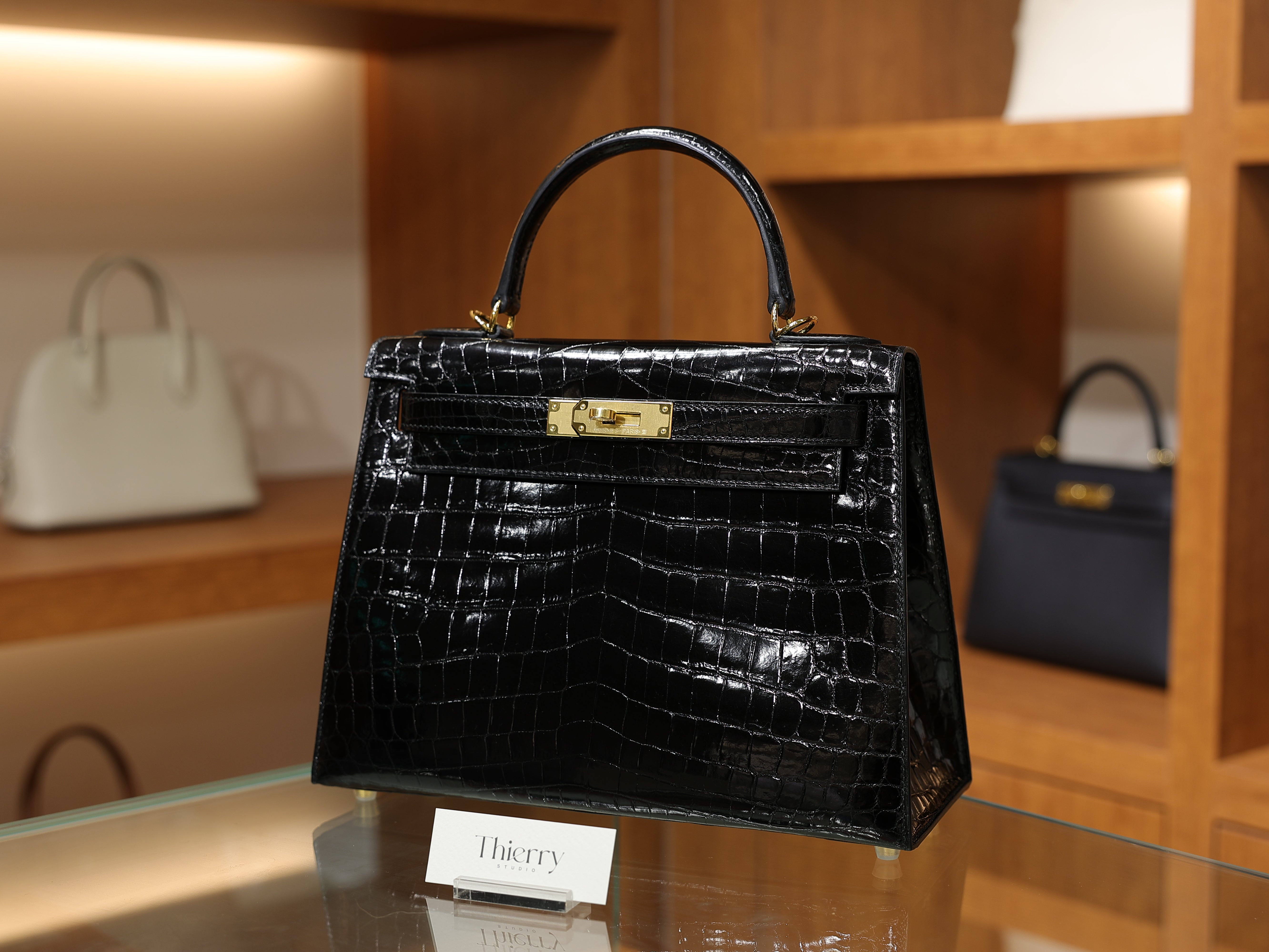Kelly 28 shiny niloticus black GHW