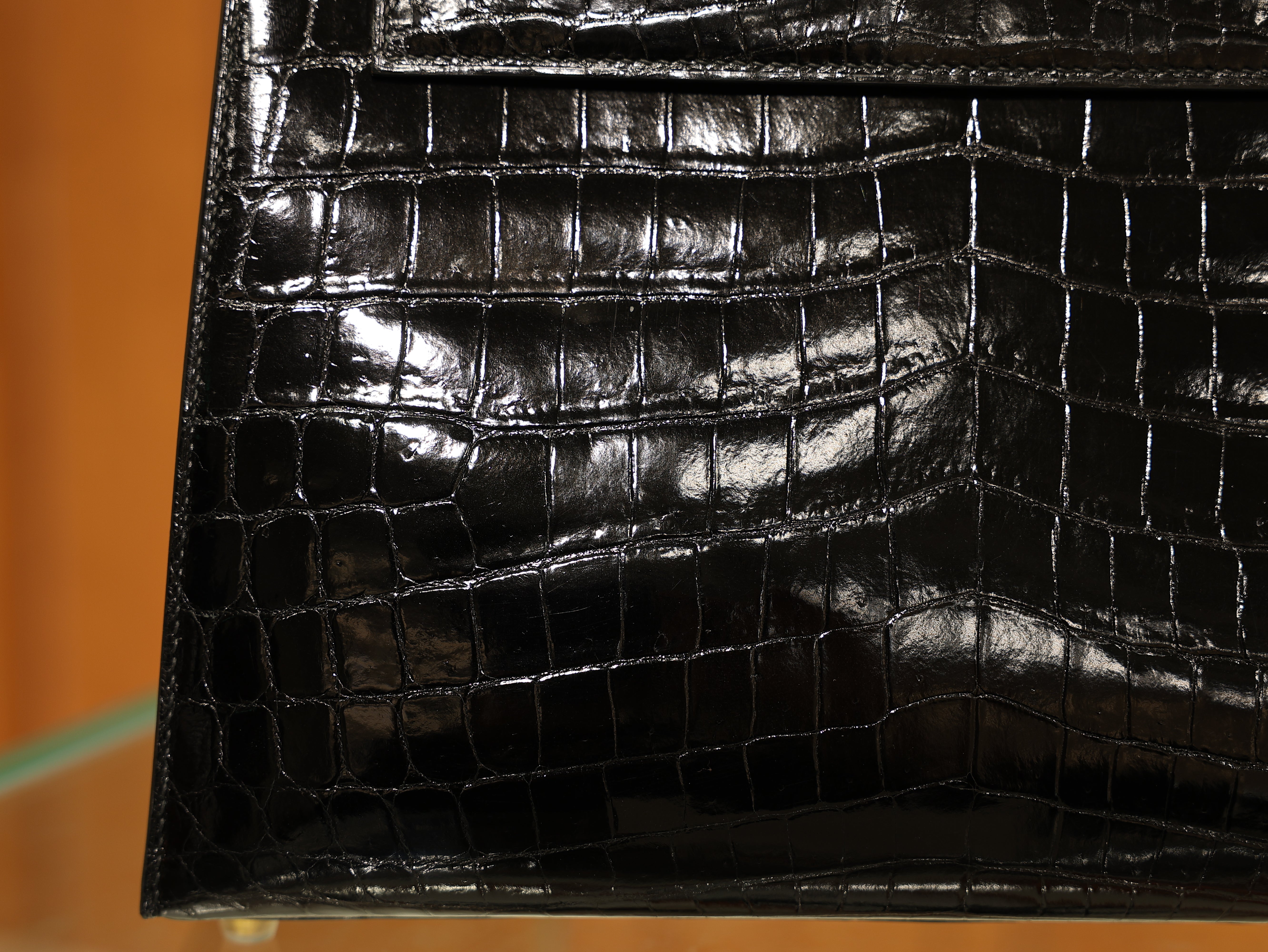 Kelly 28 shiny niloticus black GHW