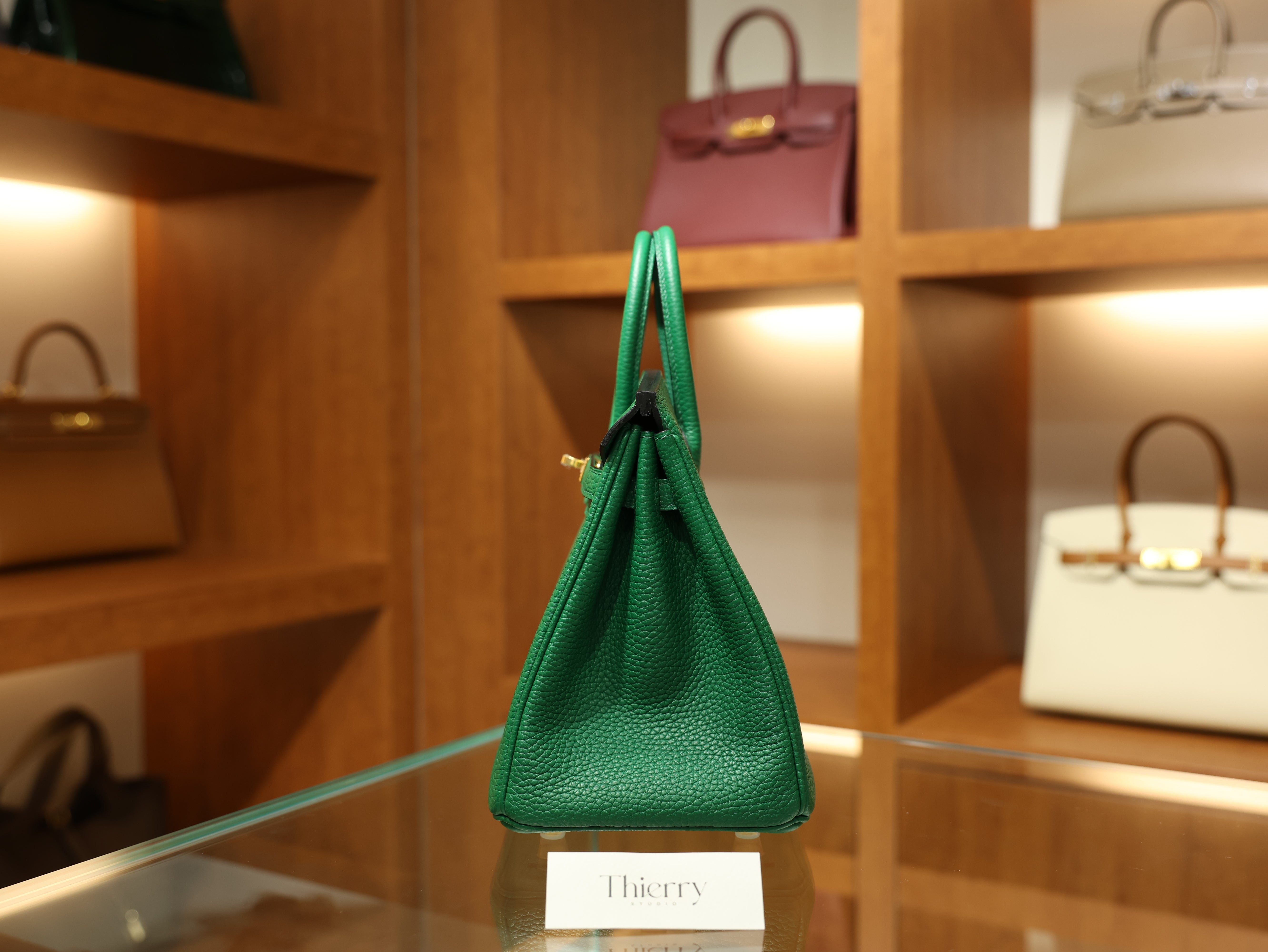 Birkin 25 clemence vert vertigo GHW