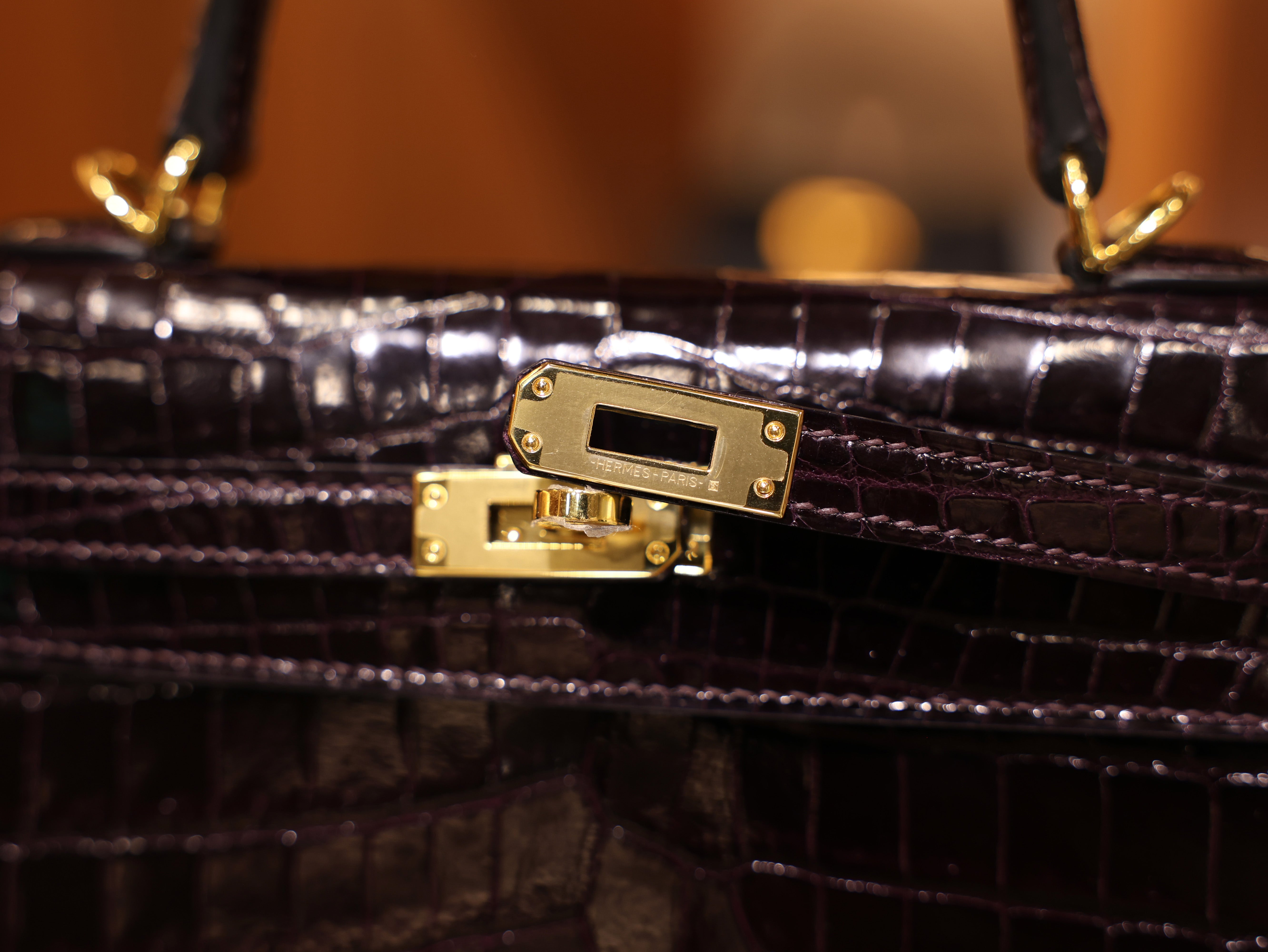 Kelly 25 shiny niloticus aubergine