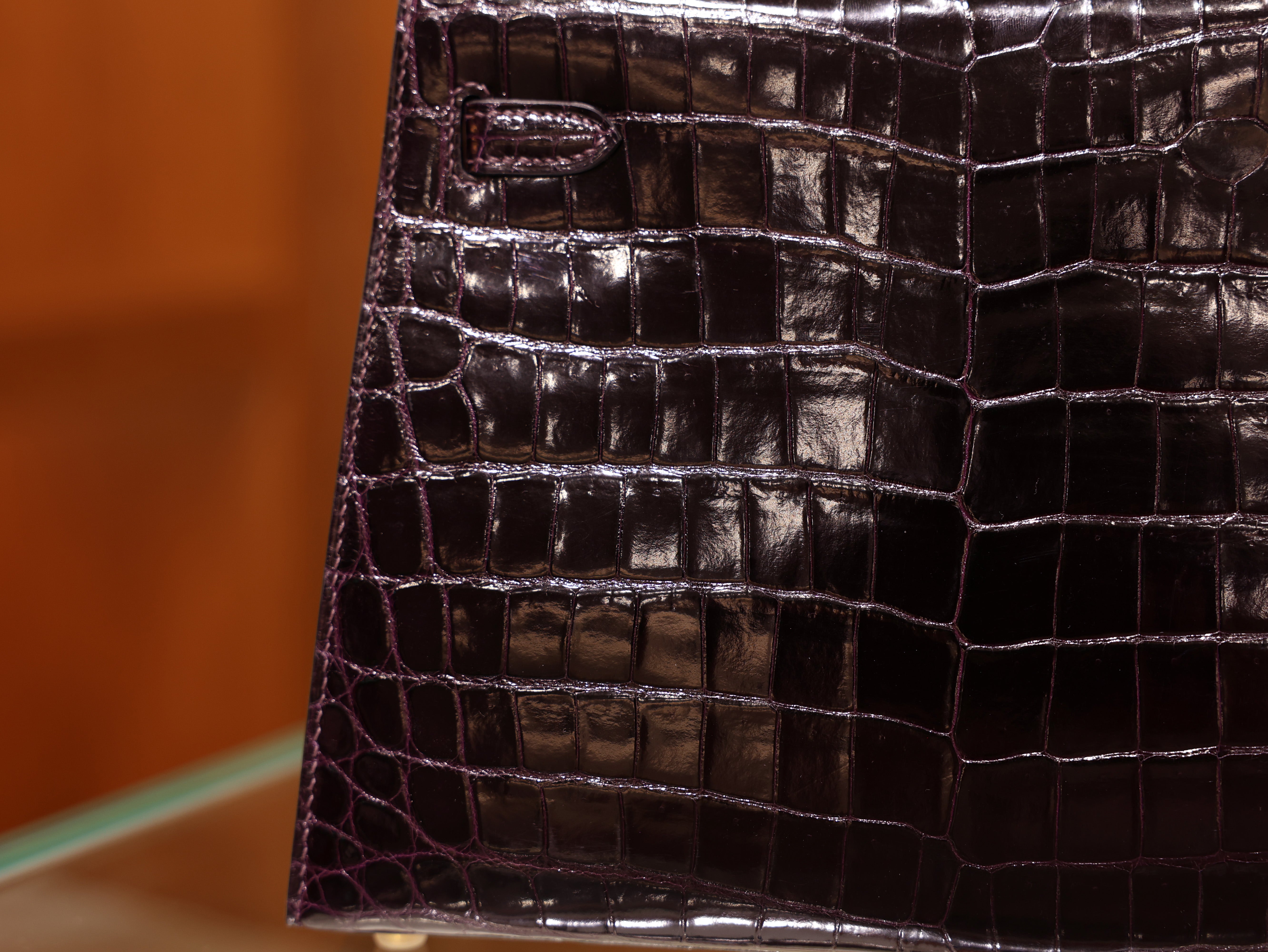 Kelly 25 shiny niloticus aubergine