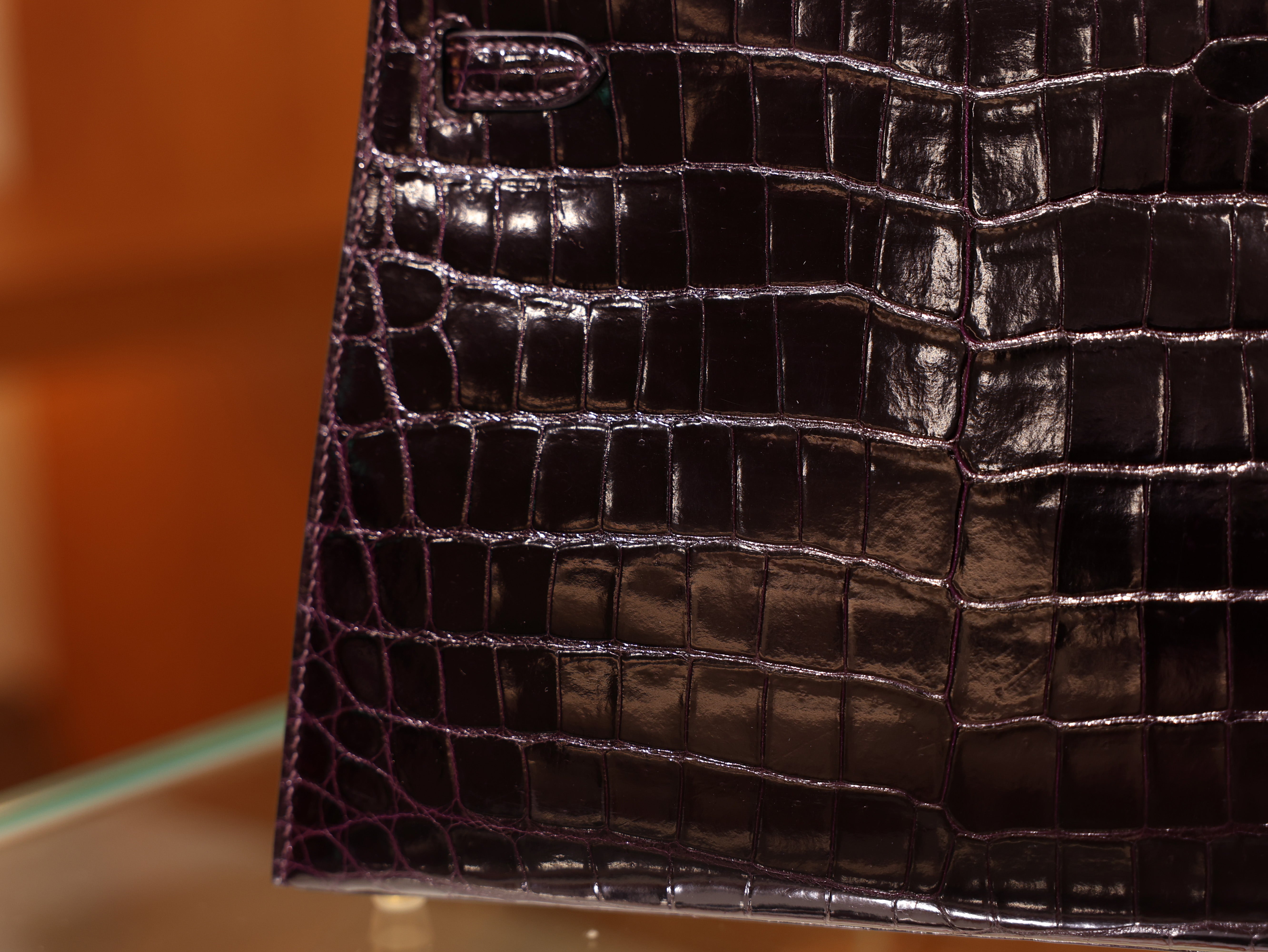 Kelly 25 shiny niloticus aubergine