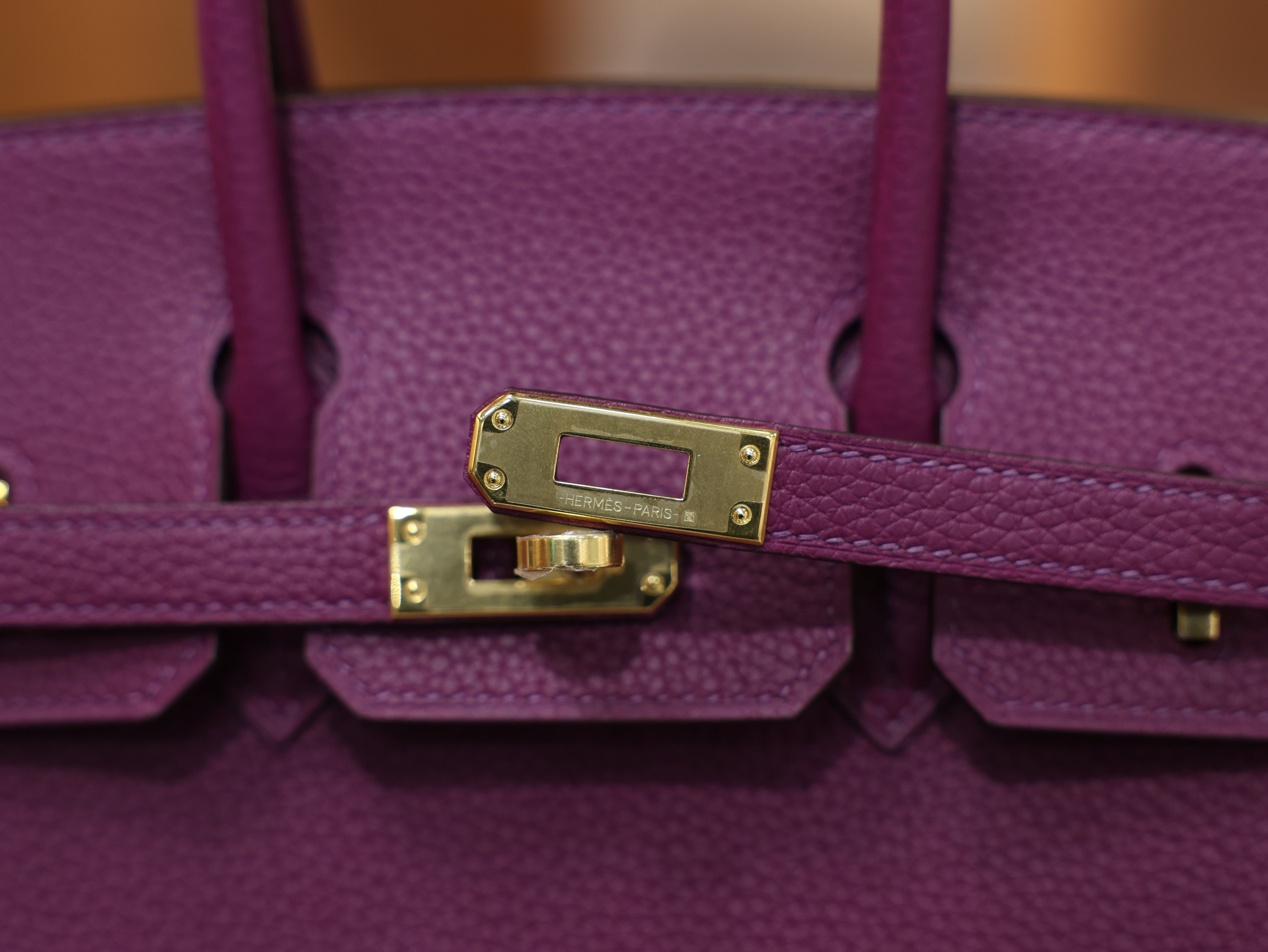 Birkin 25 togo anemone GHW
