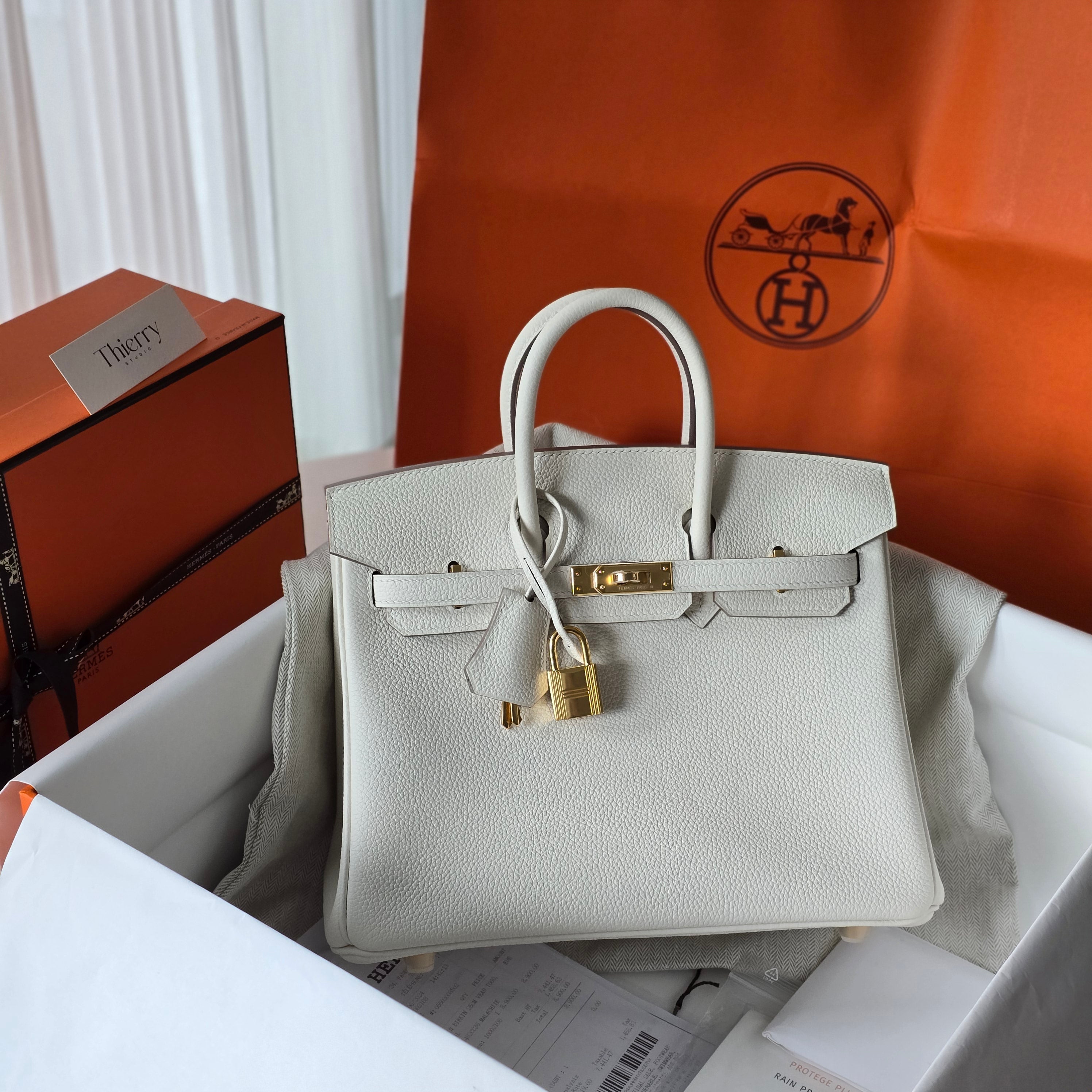 Birkin 25 togo mushroom GHW