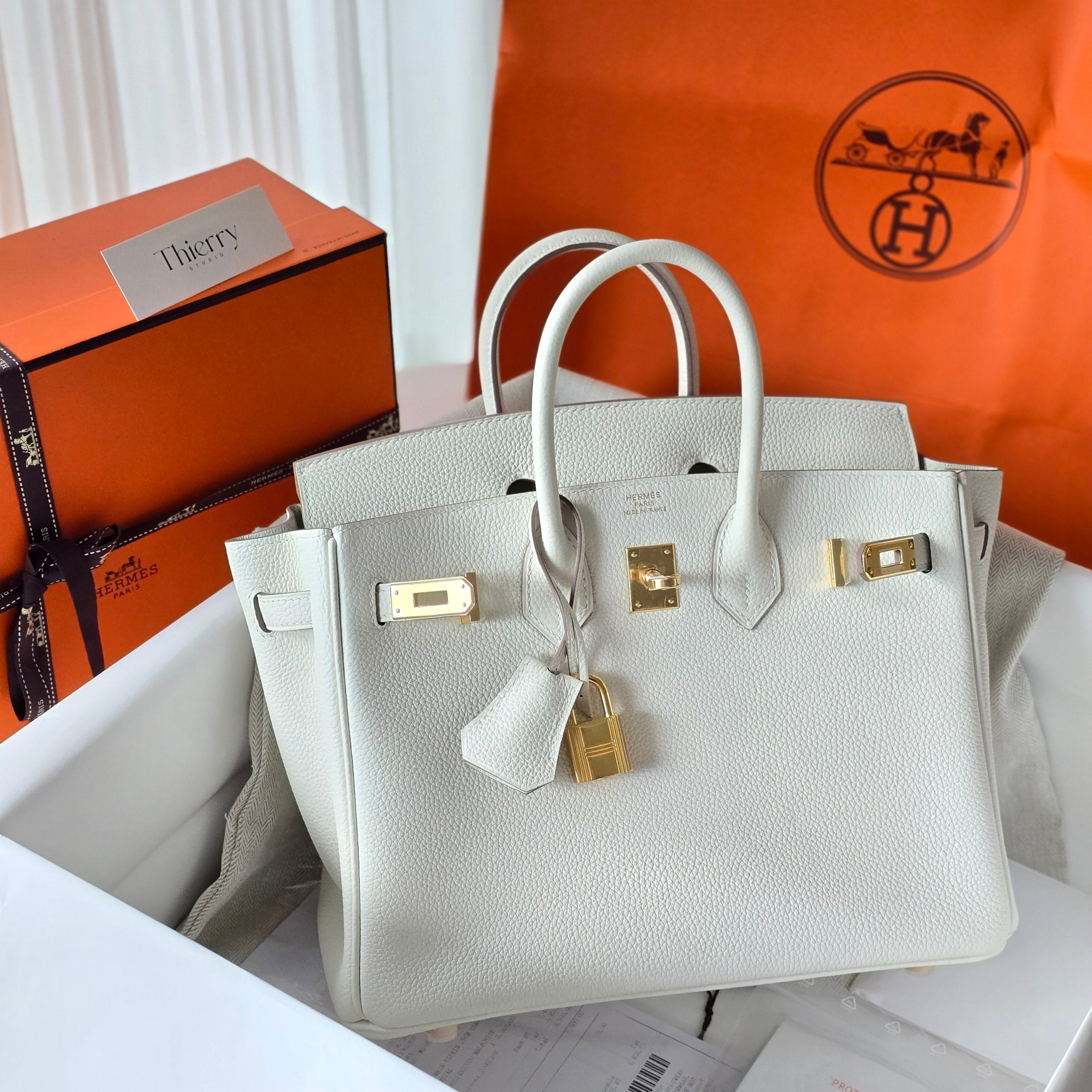 Birkin 25 togo mushroom GHW