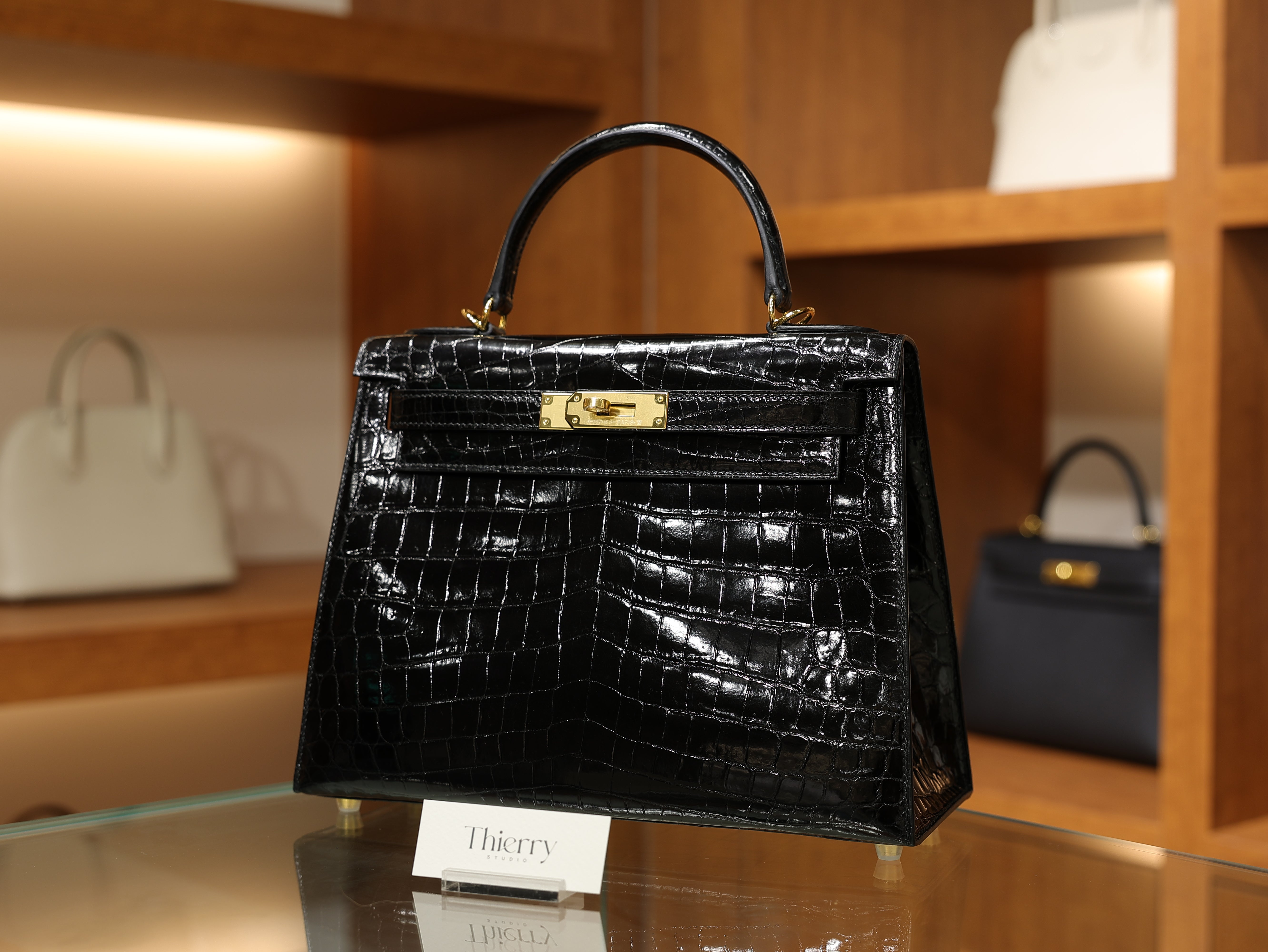 Kelly 28 shiny niloticus black GHW