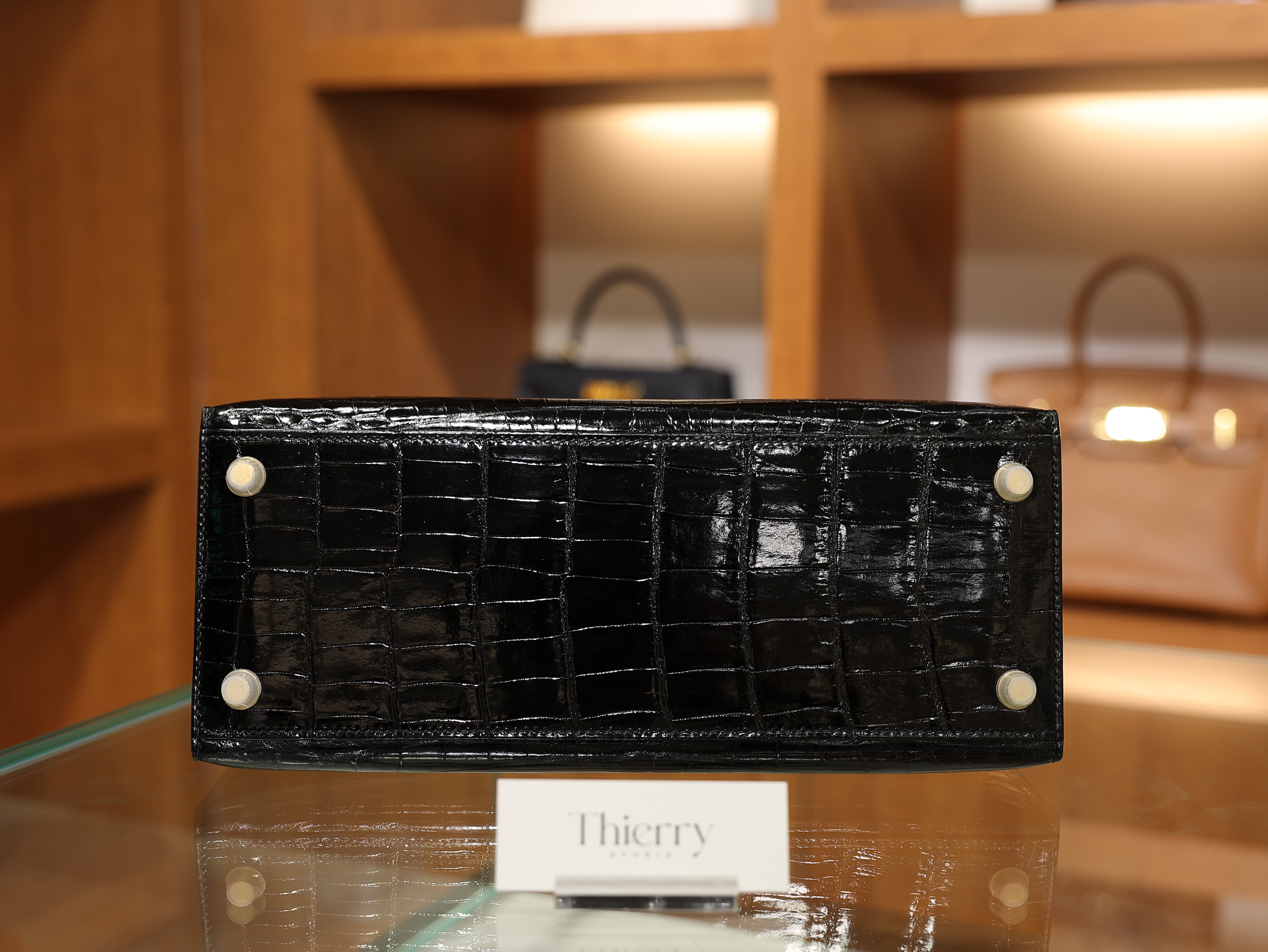 Kelly 28 shiny niloticus black GHW